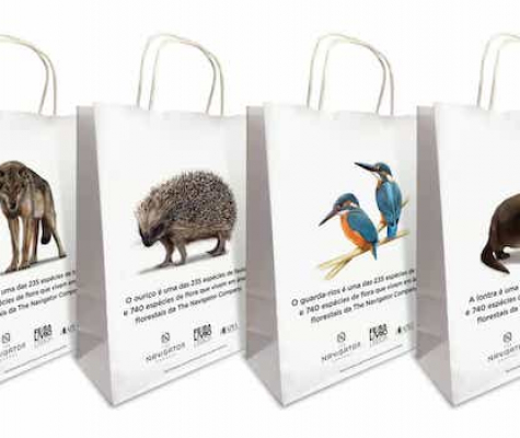 paper bags for books