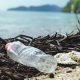 Reducing packaging and plastic waste in the EU